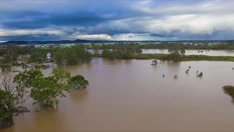 queensland, nsw, australia, february floods - tracking sideways over inundated bushland and dirty brown floodwaters in suburban brisbane, under stormy and threatening skies