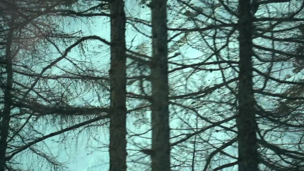 Slow motion footage through the car side window while driving in the Swiss Alps
