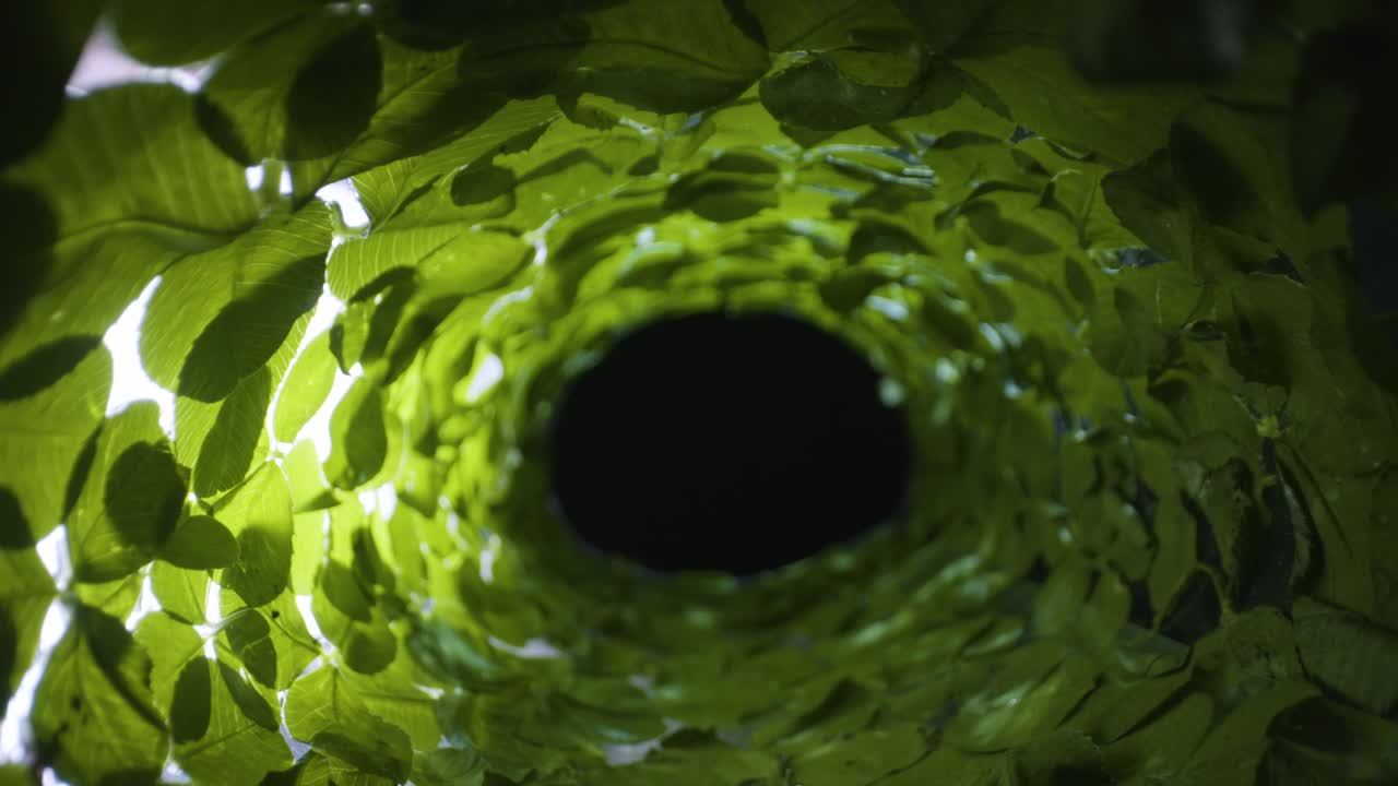 매크로 슬라이더는 잔디와 모스 녹색 터널 파이프 안에서 지하로 습니다.