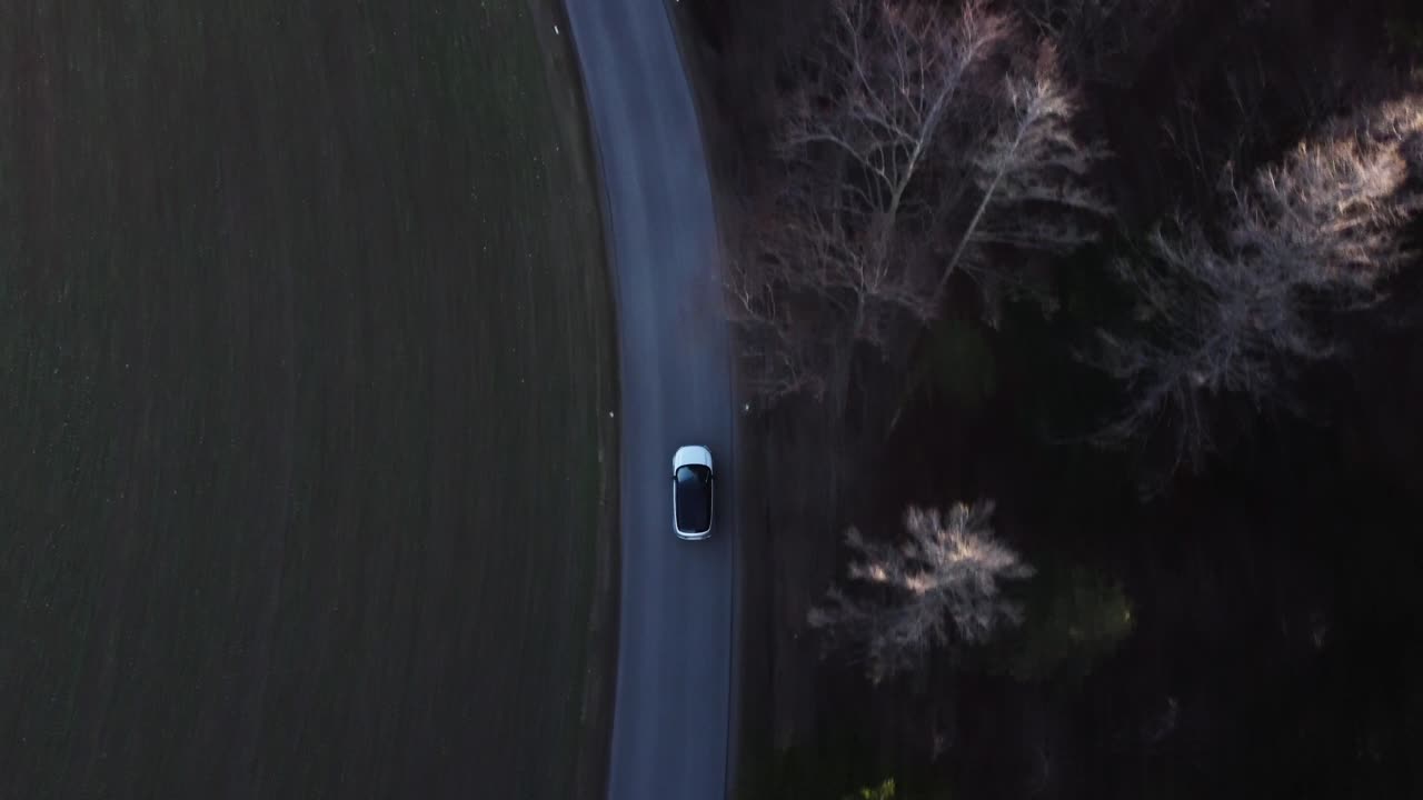 Veduta aerea zenitale con drone di un'auto che guida su una strada solitaria accanto a una foresta