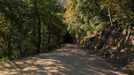 Drohne-Fliegt-Tief-Durch-Ockerfarbene-Bergpfade-Wilde-Bäume-In-Arbucias,-Girona,-Spanien,-Ein-Tunnel-Zwischen-Grünem-Laub