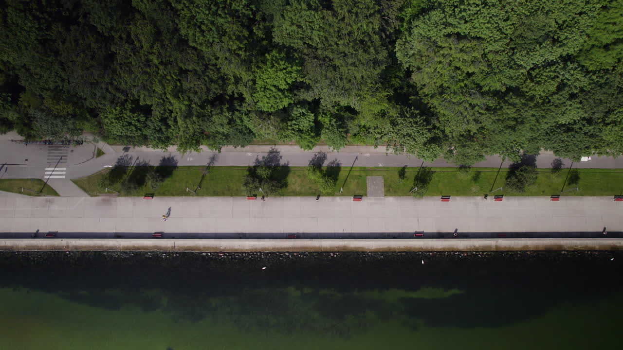 여름에는 숲과 발트해 사이를 걷는 사람들과 함께 목가적인 산책로의 공중 하향식 샷