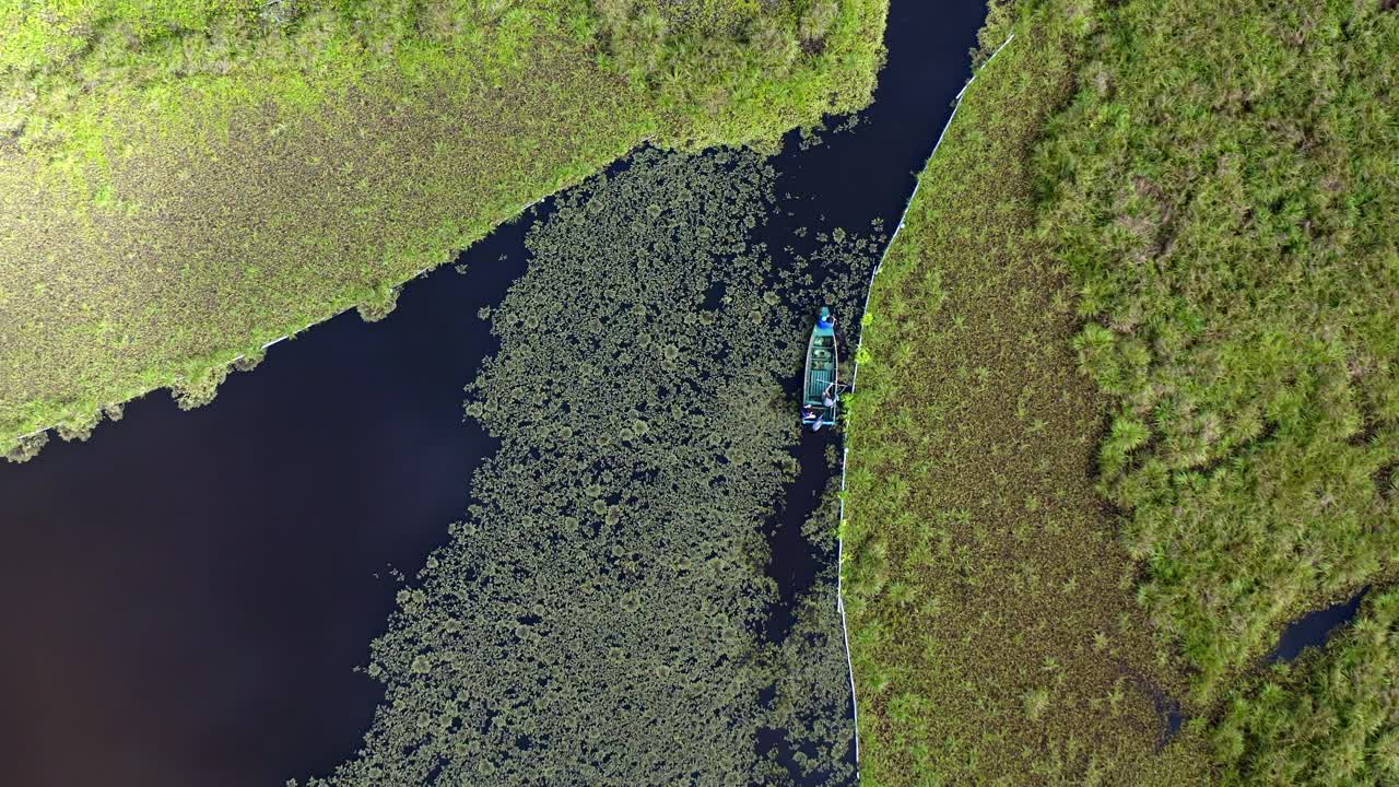 barco en canoa navegando a lo largo del lago oxbow en el río kinabatangan en malasia, vista aérea de arriba hacia abajo