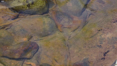 gradual movement of water over stones