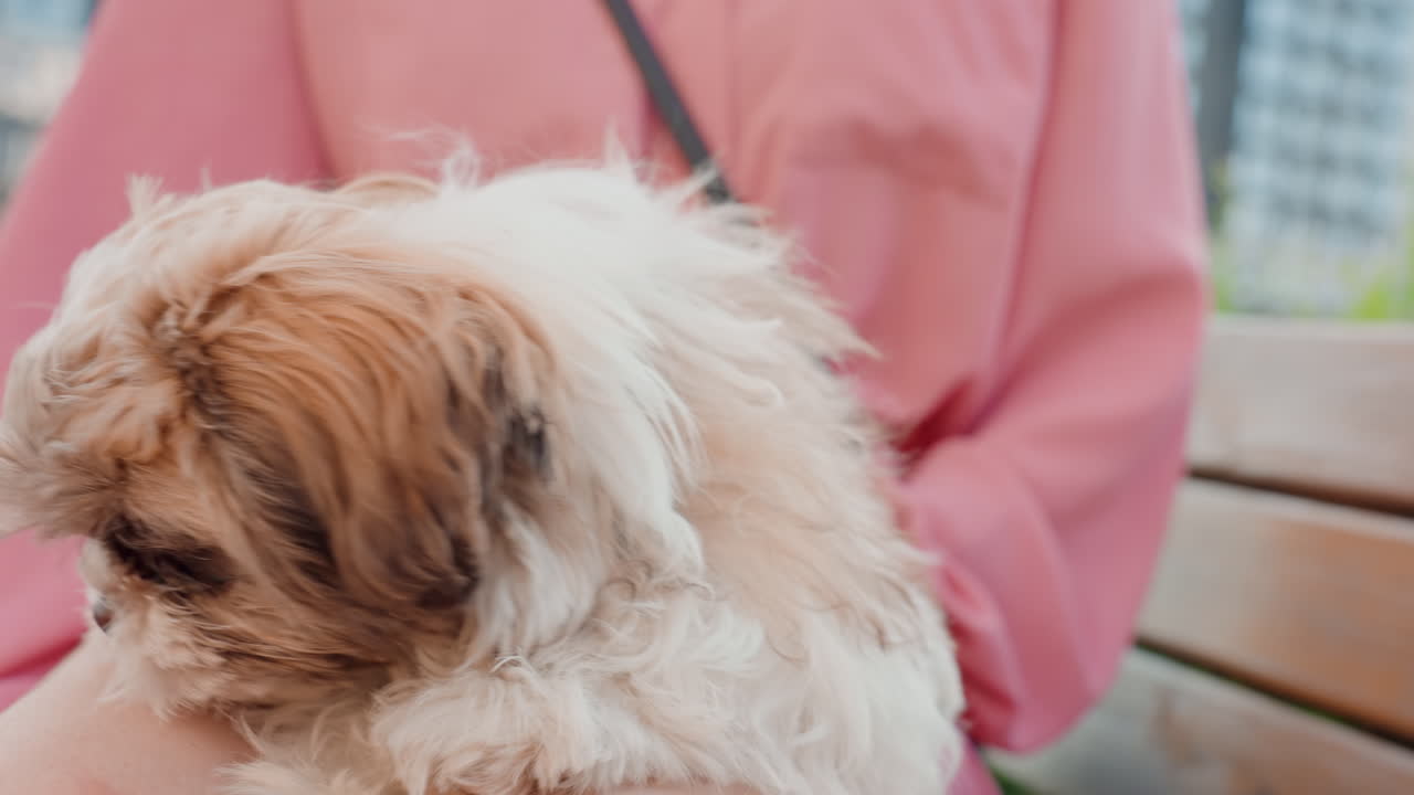 Caucasian Woman Beside Panting Puppy On Bench, Warm Tongue Out Smile, Relaxed Park Outing, Leash At Side, Playful Alert Expression, Sunlight Highlights Fur, Cheerful Companion Scene