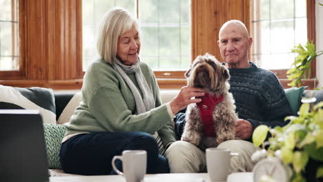 pareja de ancianos, perro y sofá en casa con cuidado