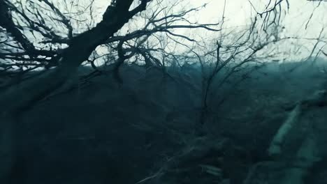 spooky bare tree branches fill the frame against a stark black background, creating an eerie, atmospheric scene