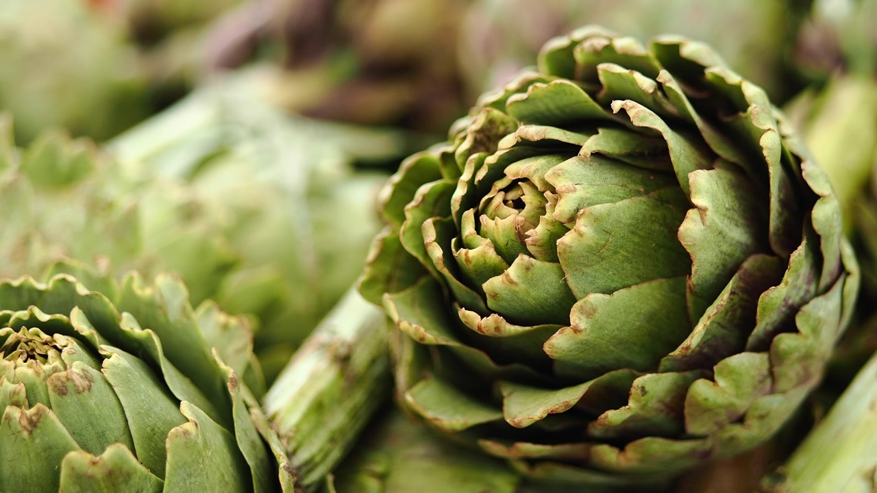 Close-up Pan of Fresh Green Artichokes