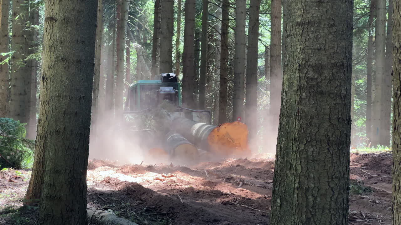 Tractor pulling away trees from timber harvesting that were cut earlier in a dens green forest. deforestation. wide shot, sunny day