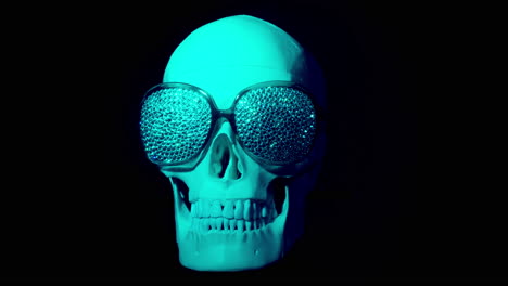 human skull with sunglasses