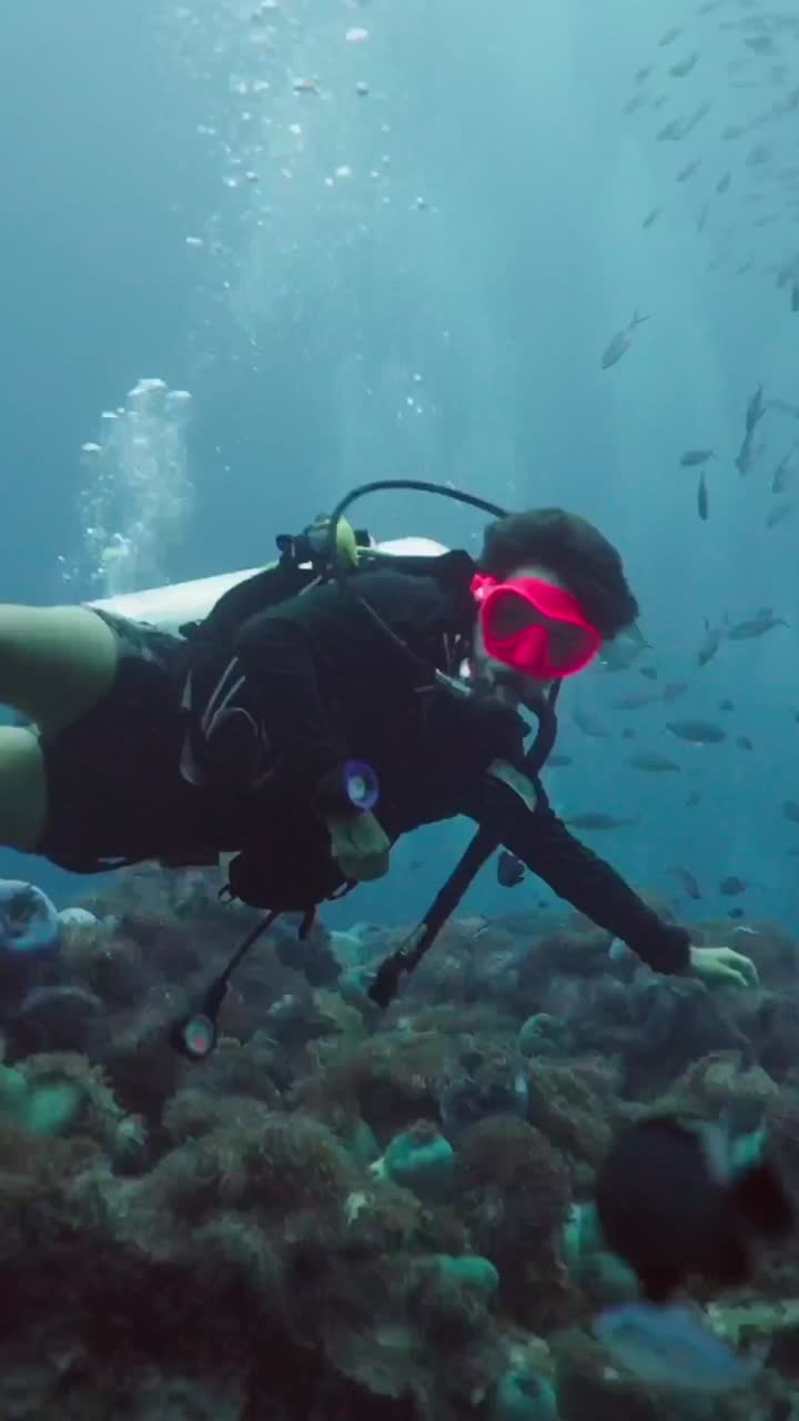 Scuba Diving in a Vibrant Coral Reef