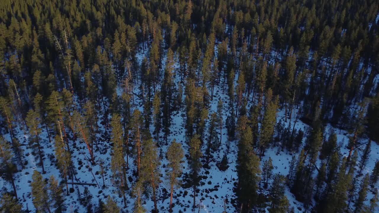 полет в обратном направлении с изображением каскадных гор над национальным лесом deschutes в штате орегон - гора бакалавр