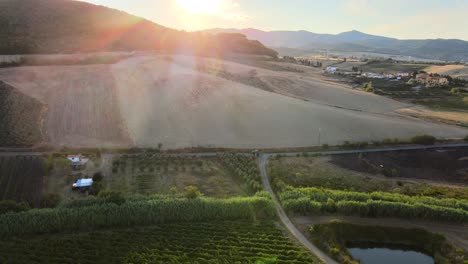 Aerial-landscape-view-over-vineyard-rows,-in-the-hills-of-Tuscany,-in-the-italian-countryside,-at-dusk