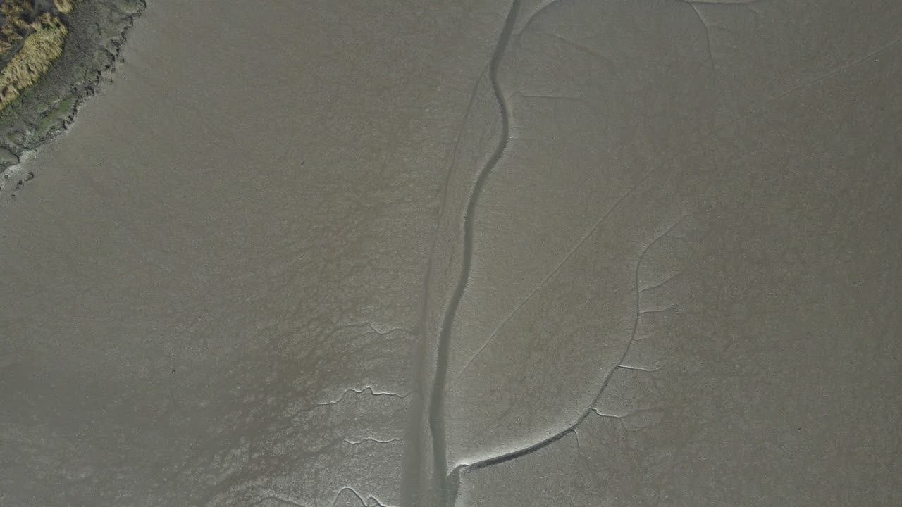 Following a river in the middle of the mud