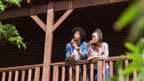 happy african american couple drinking wine in log cabin, slow motion