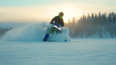 rider on snowmobile leaving snowy powder trail driving on arctic circle woodland landscape at sunrise