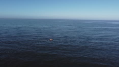 Vista-Aérea-Del-Barco-De-Pesca-Navegando-En-El-Océano-Atlántico-Azul-Durante-El-Día-Soleado-En-Uruguay