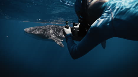 Underwater Photographer with Whale Shark