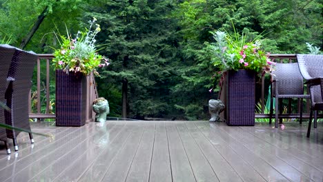 vista de un bosque frondoso desde una hermosa terraza con una mirada fría