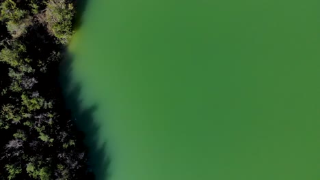 green deep water of lake with calm surface washing green vegetation banks of mountains, top down view