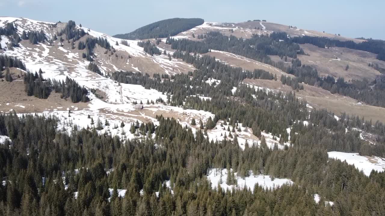 picturesque forest on a hill in the swiss alps with some snow and nice blue sky with some clouds
