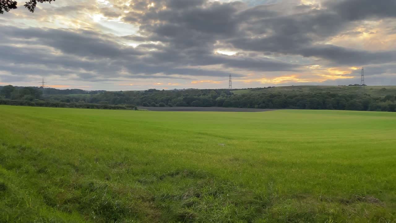 A lush green farmer's field with a cloudy sunset over the horizon