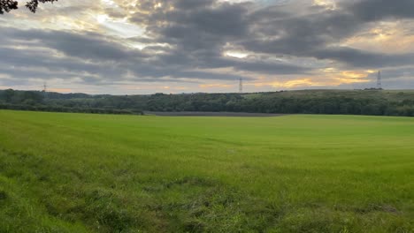 a lush green farmer's field with a cloudy sunset over the horizon