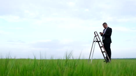 Businessman on a ladder in a field talking on his mobile phone