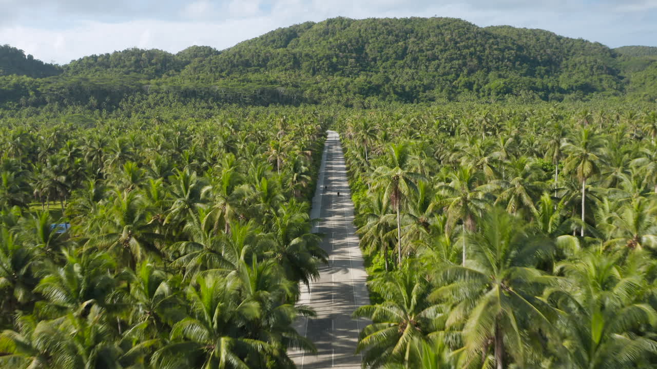 vista aérea de la carretera de coco en la isla de siargao con muchas palmeras y bosques tropicales en filipinas