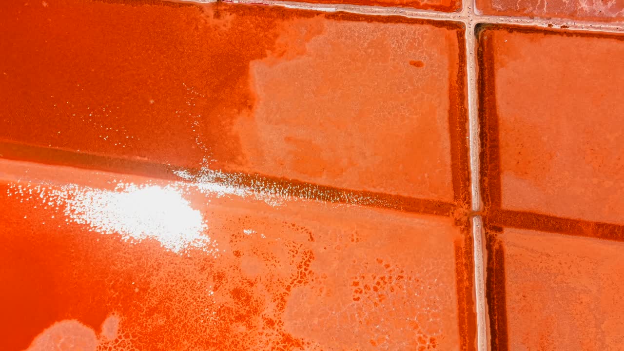 Взгляд с воздуха на розовое соленое озеро