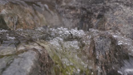 mountain stream close up. slow motion