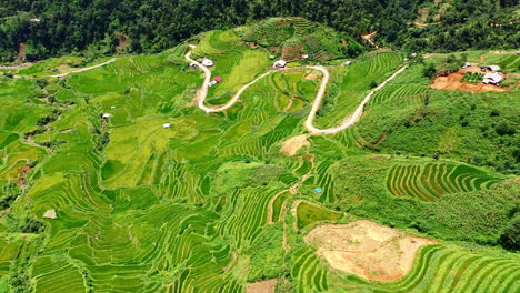 4k drone footage of the beautiful rice fields