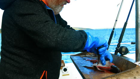 pescador que hace filetes de pescado