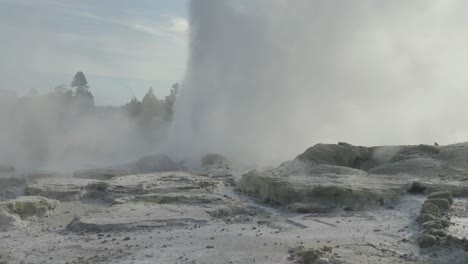 Geothermal-geyser-Erupts,-Rotorua,-New-Zealand,-Slow-motion-iconic-steamy-rocky-environment,-Sunny-Daytime