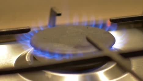 close up of blue gas flame burner ring