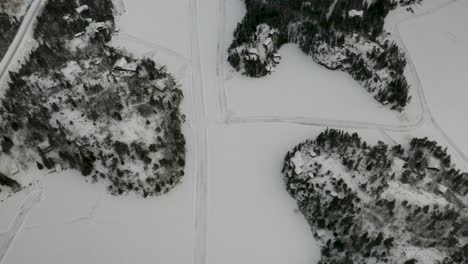 toma aérea de una red de caminos de hielo de invierno esparcidos por un lago congelado en los bosques boreales del norte de canadá