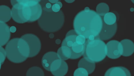 animación mosca resumen azul bokeh y partículas 1
