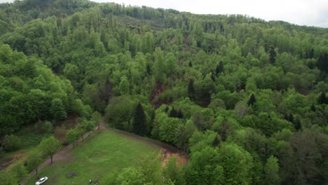 aerial from river to forest where you see deforestation area in bosnia