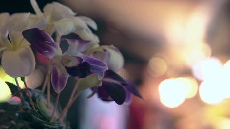 Weiße-Und-Violette-Orchideen-Auf-Stöcken,-Die-In-Ananas-Stecken
