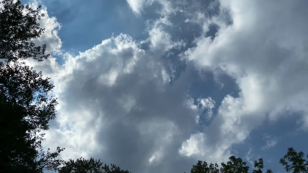 대부분 구름이  ⁇ 은 하늘이 녹색 숲으로 기울어져 있습니다.