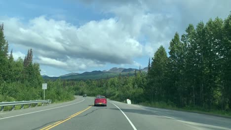 hood-view-driving-through-a-lush-green-forest-road