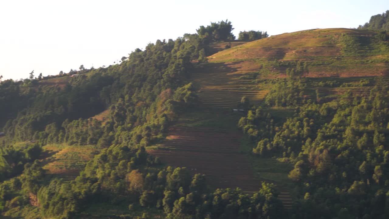 Lush green hills with terraced fields bask under the gentle evening sunlight, surrounded by a scattering of trees and forest plots, portraying the peaceful rural landscape of North Vietnam.