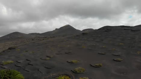 Flying-over-a-volcanic-hill-where-plants-protected-by-ditches-and-half-circular-structures