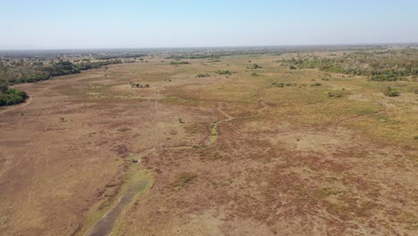 Vista-Aérea-Del-Pantano-Seco-Durante-La-Sequía-Severa-En-Pantanal,-Brasil