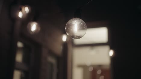 Close-up-of-round-light-bulb-hanging-in-back-yard