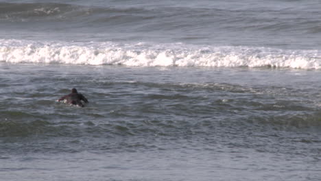 Zoom-out-of-surfer-paddling-out-at-the-mouth-of-the-Ventura-River-at-Surfers-Point-in-Ventura-California