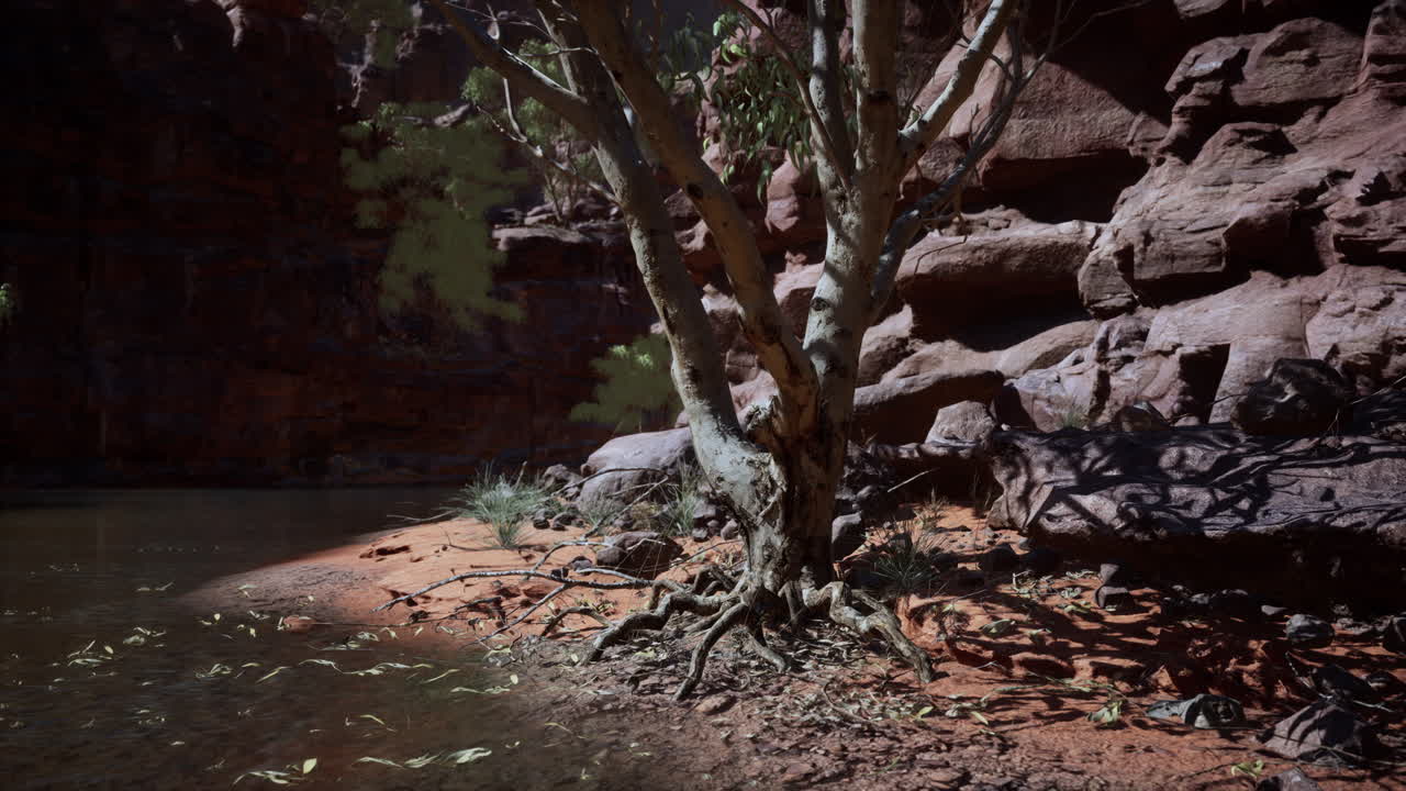 콜로라도 강은 그랜드 캐니언을 가로질러 흐릅니다.