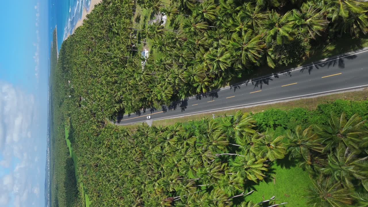 Vertical backward aerial shot of a road lined with coconut trees, gentle waves, and a clear sky. Sunny day with scattered clouds, vehicles seen from behind driving along the road