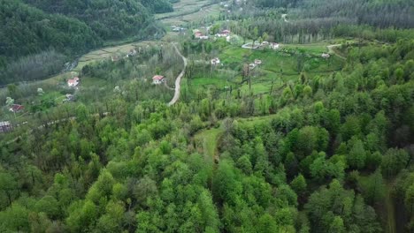 fly over agriculture road in the forest near the mountain region green nature of middle east asia local people heritage culture in rice planting in paddy field original agriculture saudi arabia iran