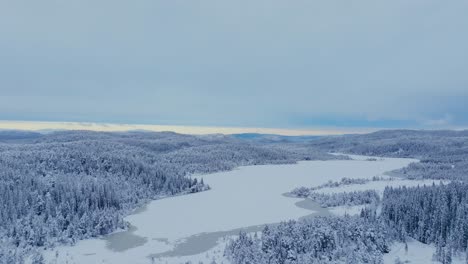 winter landscape with coniferous forests covered in snow in indre fosen, norway - aerial shot